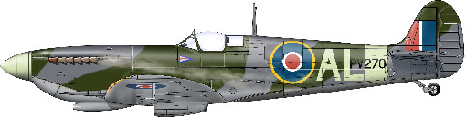 Biggin Hill, RNZAF Ohakea Logo