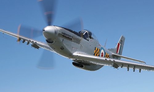 MSMUS6
